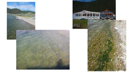 f:id:Limnology:20160902024638j:image f:id:Limnology:20160902024638j:image