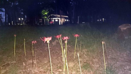 f:id:Limnology:20160917181211j:image