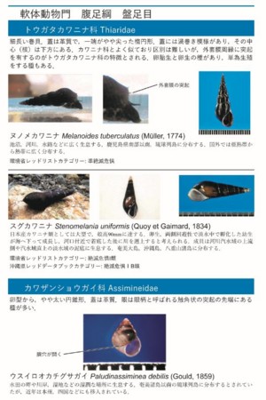 f:id:Limnology:20161026124846j:image