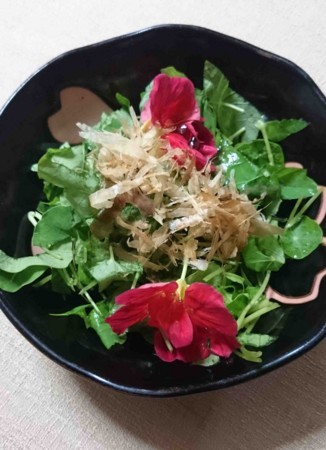 f:id:Limnology:20170531174416j:image f:id:Limnology:20170531174416j:image