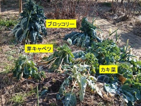 f:id:Limnology:20180130123443j:image