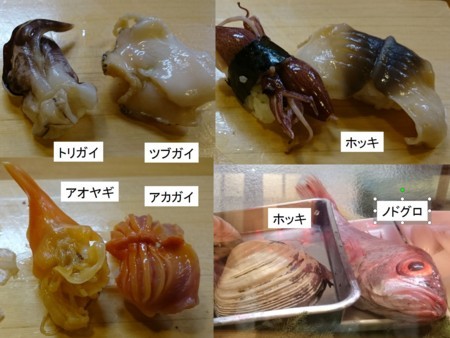 f:id:Limnology:20180421212936j:image