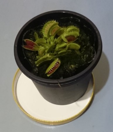 f:id:Limnology:20180722115838j:image