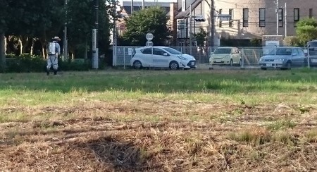 f:id:Limnology:20180903095036j:image