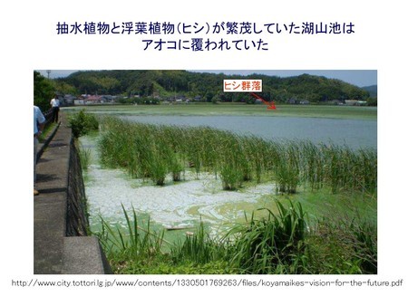 f:id:Limnology:20181009125758j:image