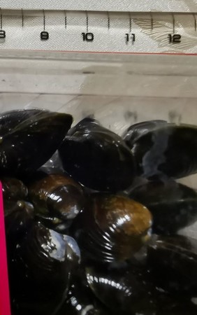 f:id:Limnology:20190102155800j:image