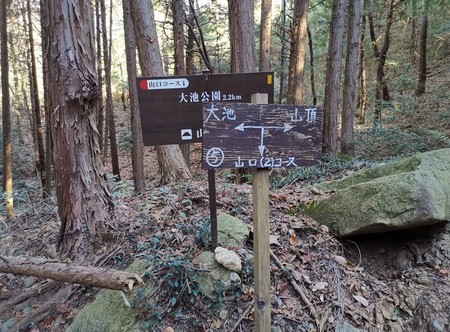 f:id:Limnology:20190103133253j:image