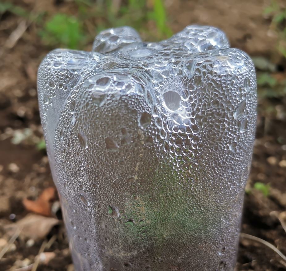 f:id:Limnology:20190619084602j:plain