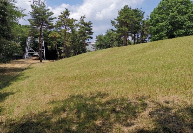 f:id:Limnology:20190627123429j:plain f:id:Limnology:20190627123429j:plain
