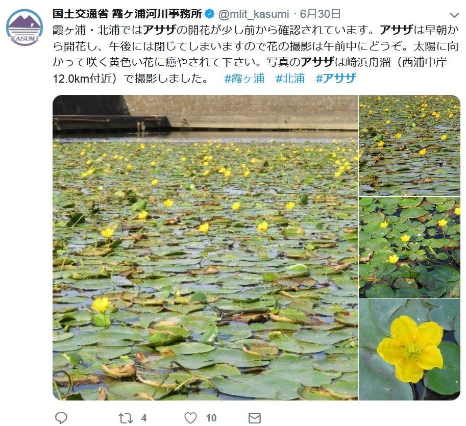 f:id:Limnology:20190706231824j:plain