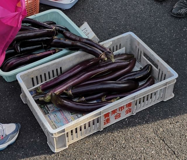 f:id:Limnology:20190816084624j:plain