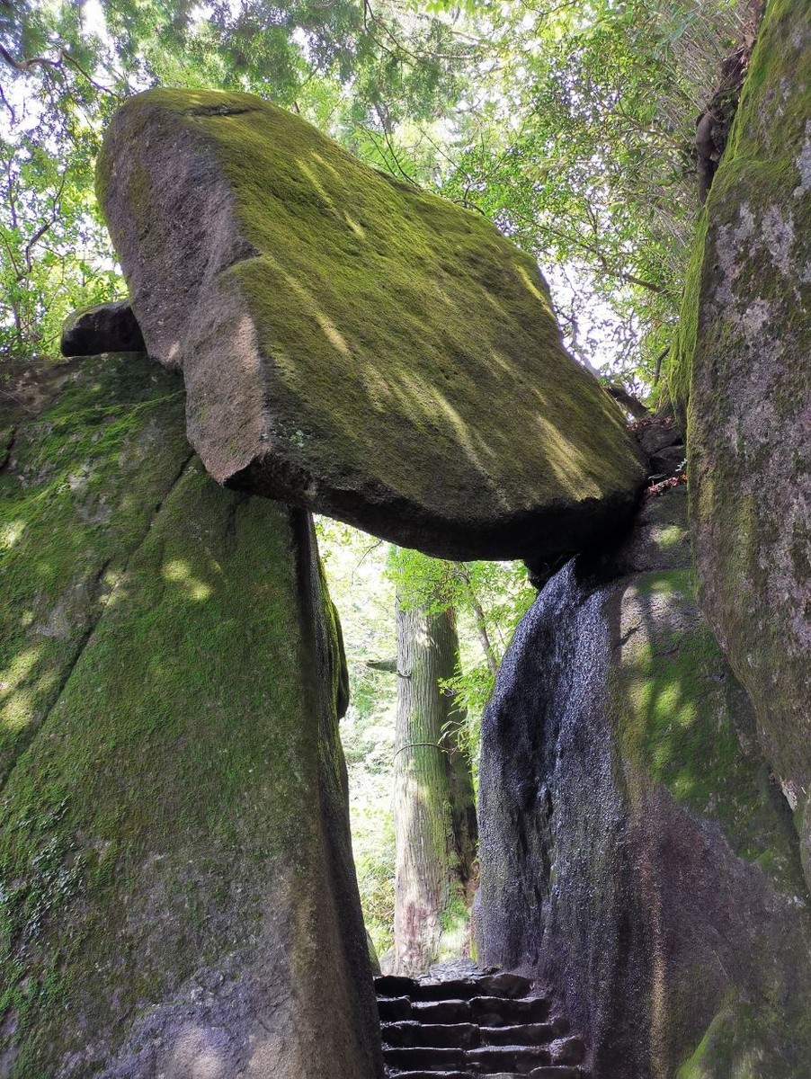 f:id:Limnology:20190825225009j:plain