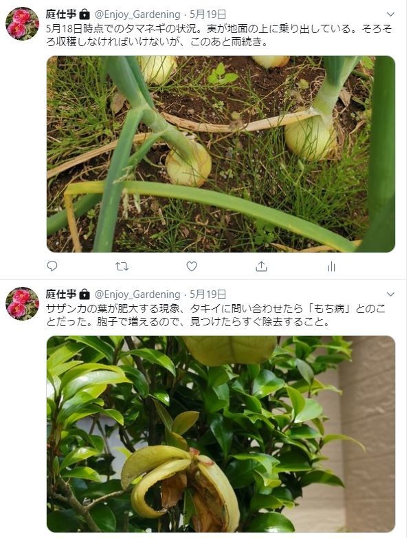 f:id:Limnology:20200524003845j:plain f:id:Limnology:20200524003845j:plain