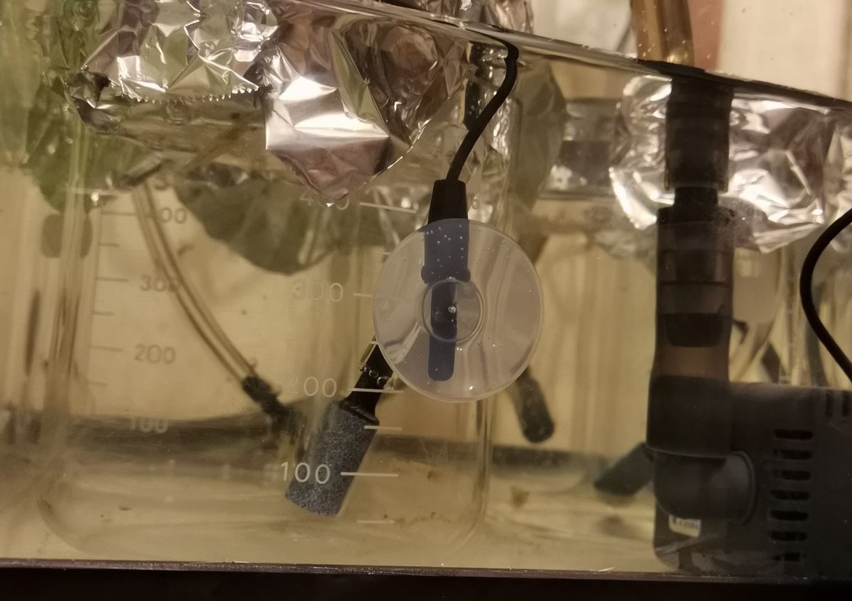 f:id:Limnology:20200711231431j:plain