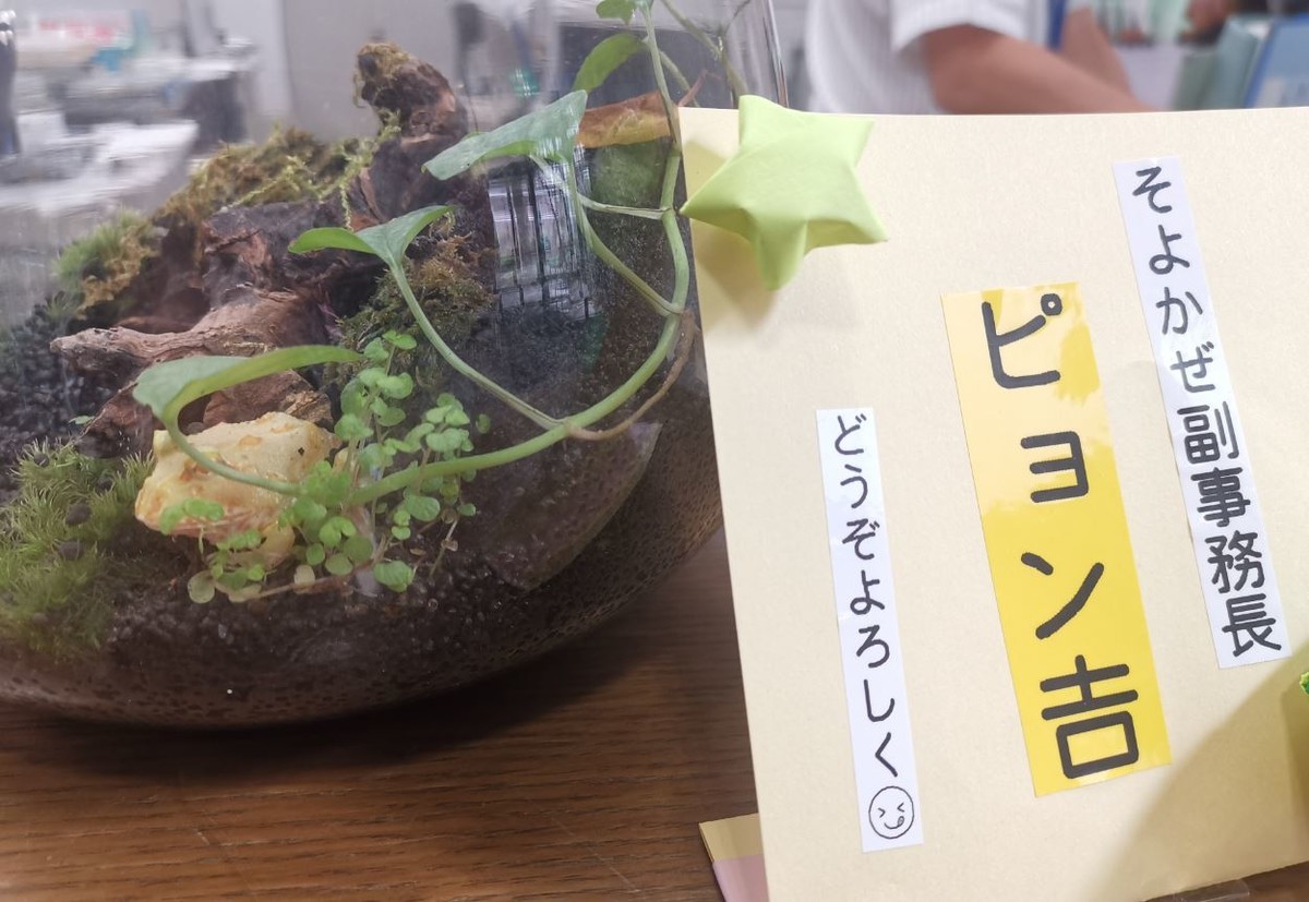 f:id:Limnology:20201021130652j:plain