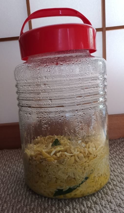 f:id:Limnology:20201210121520j:plain