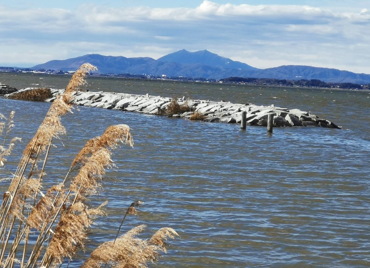 f:id:Limnology:20210314193327j:plain