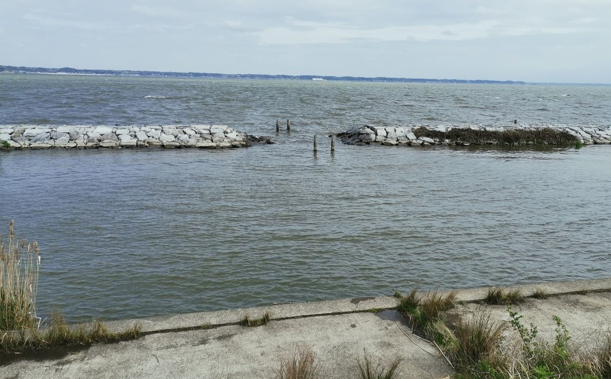 f:id:Limnology:20210407211540j:plain