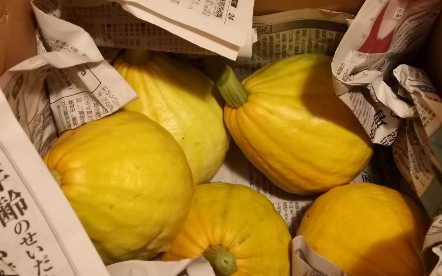 f:id:Limnology:20210903222254j:plain