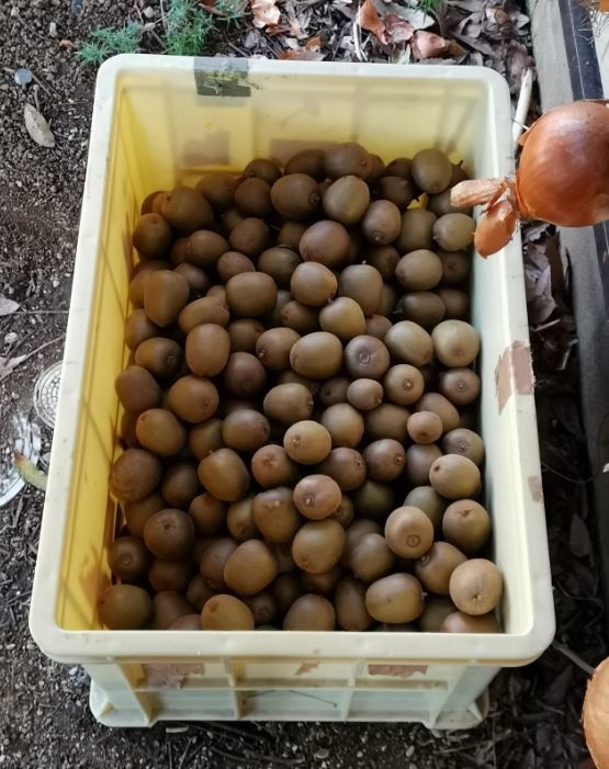 f:id:Limnology:20211119203320j:plain