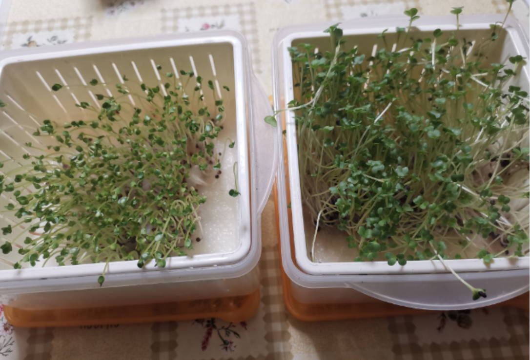 f:id:Limnology:20220303211300p:plain