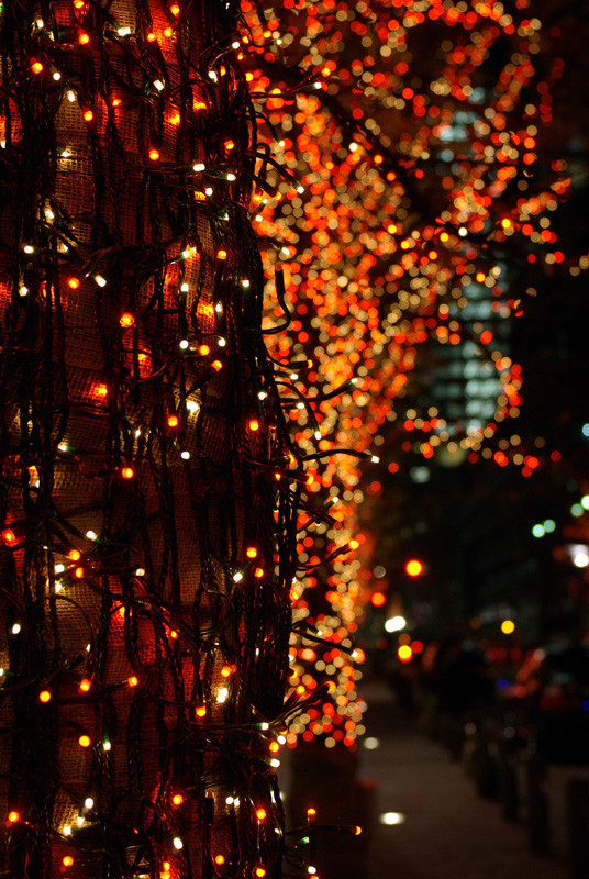 f:id:Line:20061208203630j:image