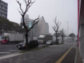 20090124130645