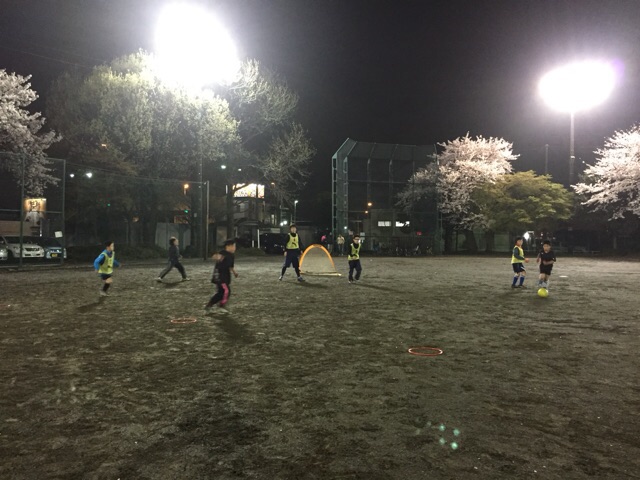 イメージ 4