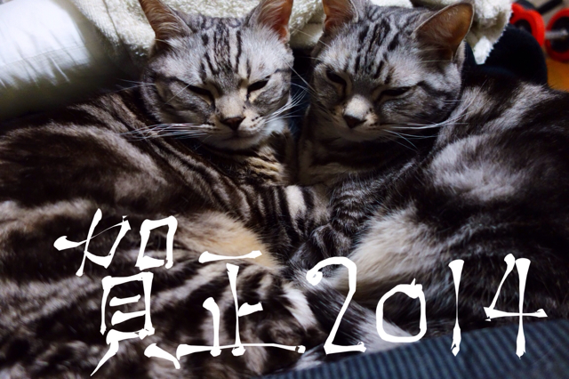 f:id:Lingurin:20140101072752j:image:w320 f:id:Lingurin:20140101072752j:image:w320