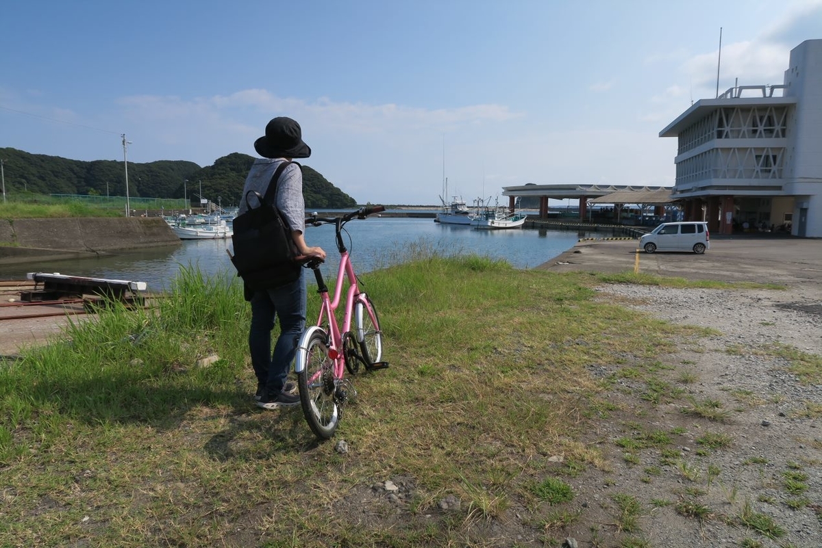 20インチの折り畳めない自転車、買いました① - Link-Light's diary