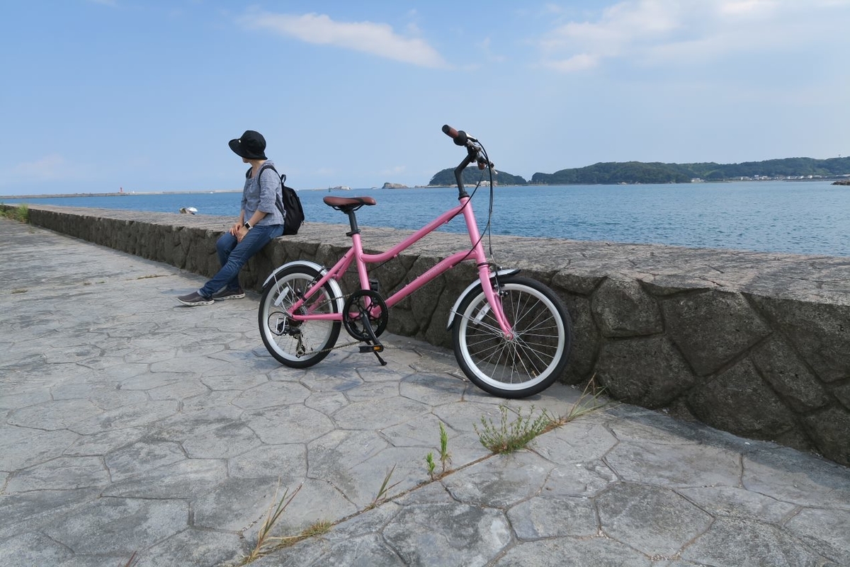 20インチの折り畳めない自転車、買いました① - Link-Light's diary