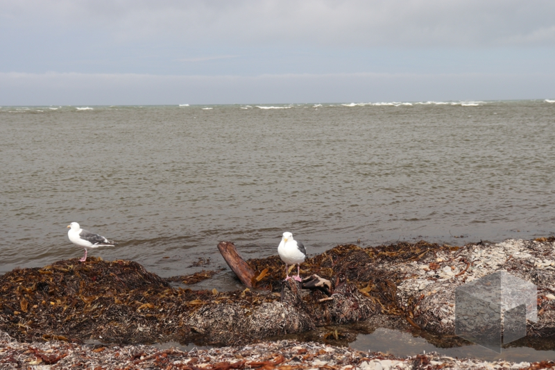 f:id:LinkSyun:20201206000553j:plain