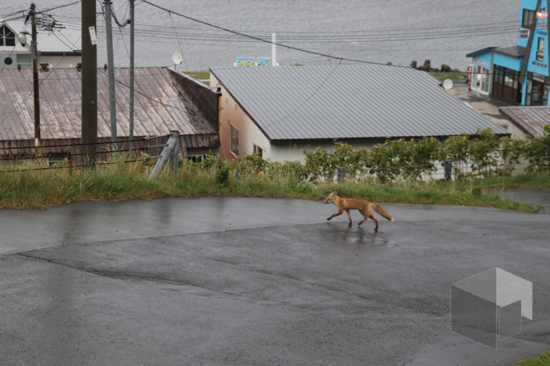 f:id:LinkSyun:20210110231035j:plain