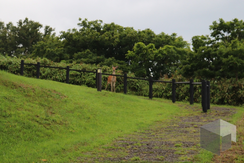 f:id:LinkSyun:20210110235819j:plain