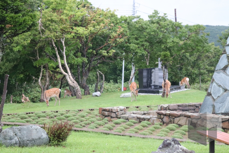 f:id:LinkSyun:20210112174848j:plain