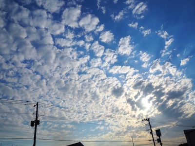 f:id:Lio_777920:20201031115835j:plain f:id:Lio_777920:20201031115835j:plain