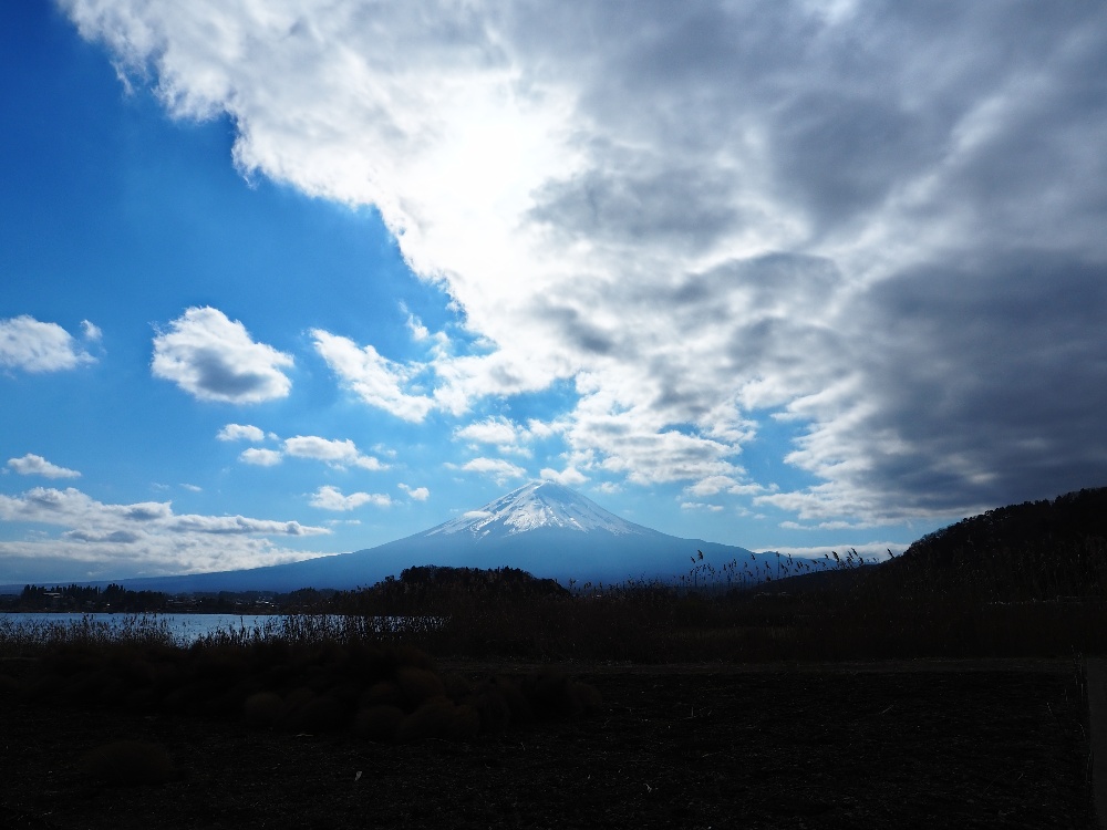 f:id:Lio_777920:20211206142431j:plain