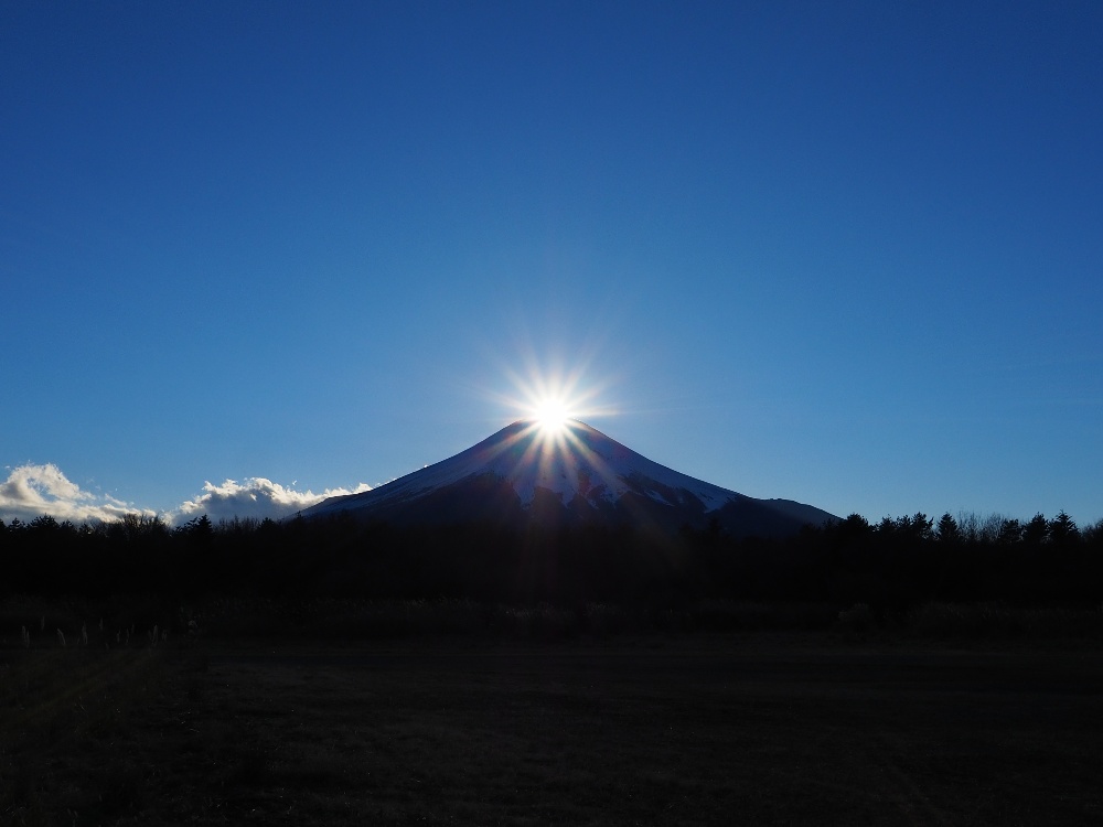 f:id:Lio_777920:20211216091642j:plain