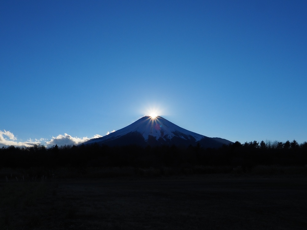 f:id:Lio_777920:20211216091644j:plain