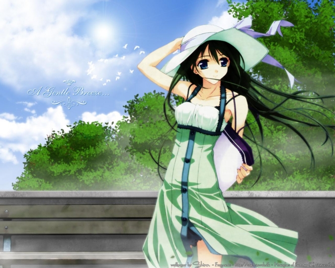 f:id:LiongHMD:20050524210033j:image f:id:LiongHMD:20050524210033j:image
