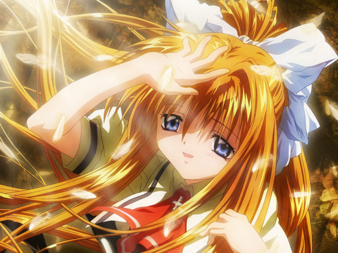 f:id:LiongHMD:20050628132307j:image