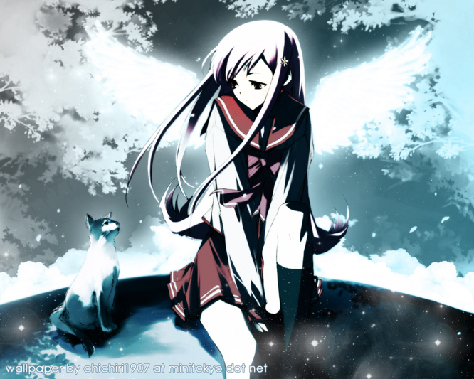 f:id:LiongHMD:20051221084037j:image