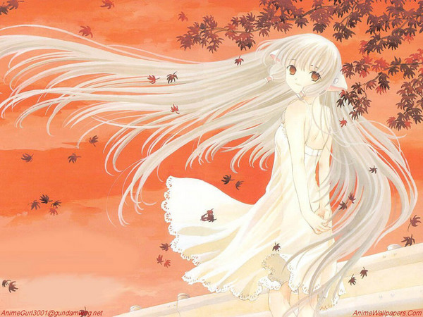 f:id:LiongHMD:20060228041711j:image