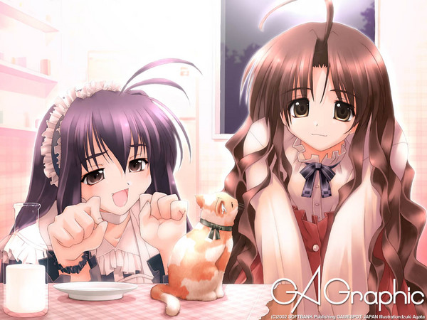 f:id:LiongHMD:20060712224743j:image