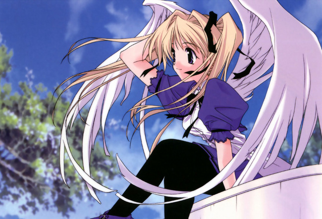 f:id:LiongHMD:20070710213241j:image f:id:LiongHMD:20070710213241j:image