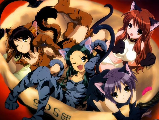 f:id:LiongHMD:20080620211901j:image