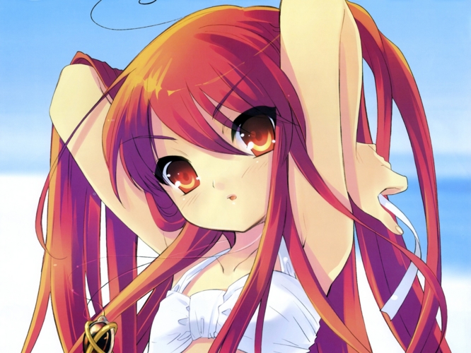 f:id:LiongHMD:20081106125903j:image