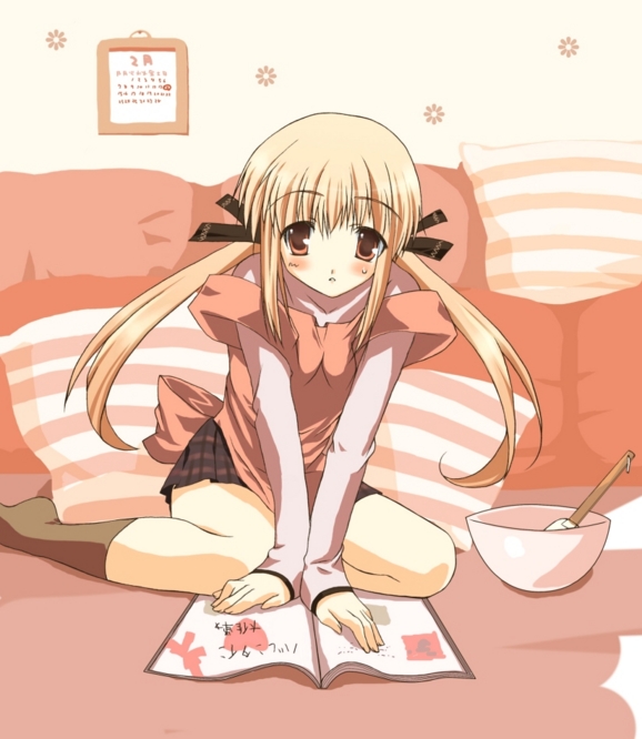 f:id:LiongHMD:20090127000440j:image