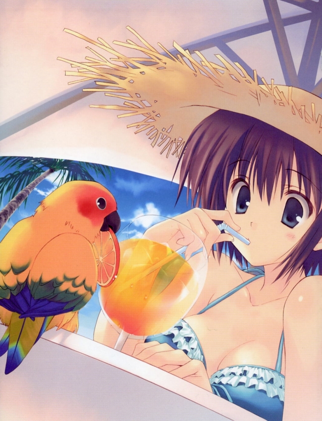 f:id:LiongHMD:20090201001036j:image