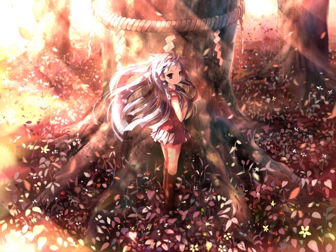 f:id:LiongHMD:20090507221748j:image